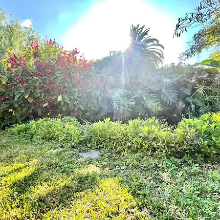 Superior Studio With Pool, Close To The Appartement