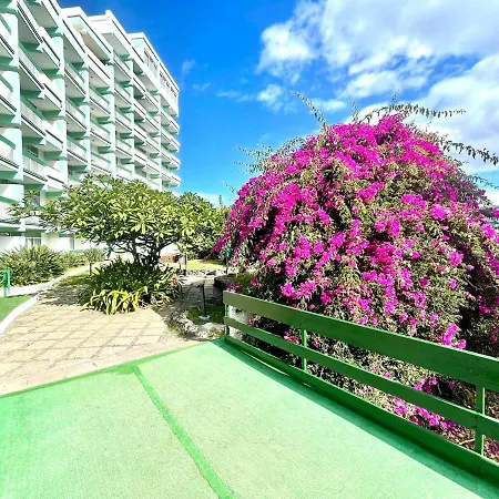 Appartement Superior Studio With Pool, Close To The Puerto de la Cruz (Tenerife)
