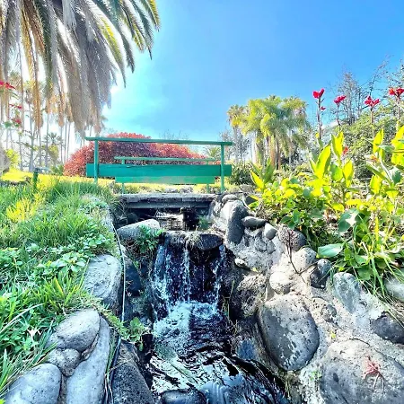 Superior Studio With Pool, Close To The *